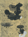 TAMAWAKE-Akimitsu-03.jpg